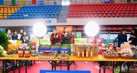 科技賦能 豐收盛典——中國農民豐收節平涼系列慶祝活動精彩紛呈